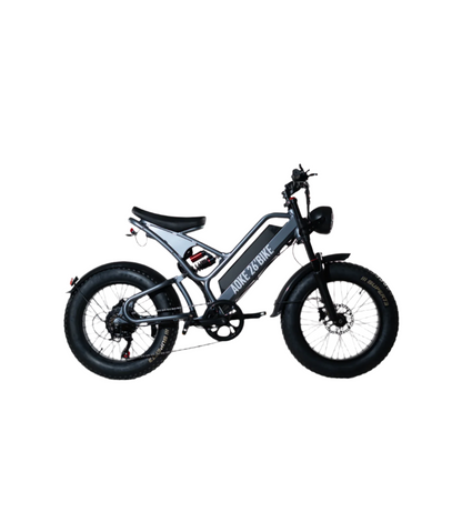 Electric bicycle | AOEK26