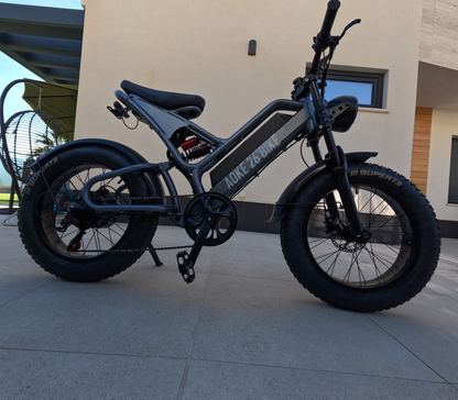 Electric bicycle | AOEK26