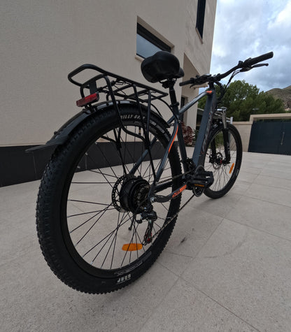 Electric bicycle | Phoenix 599