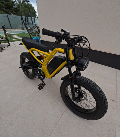 Electric bicycle | AKEZ