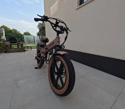 Electric bicycle | ZhengBU