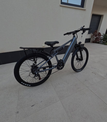 Electric bicycle | Phoenix 26