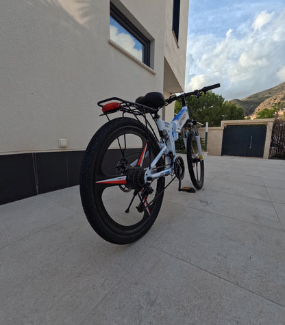 Electric bicycle | OMECI