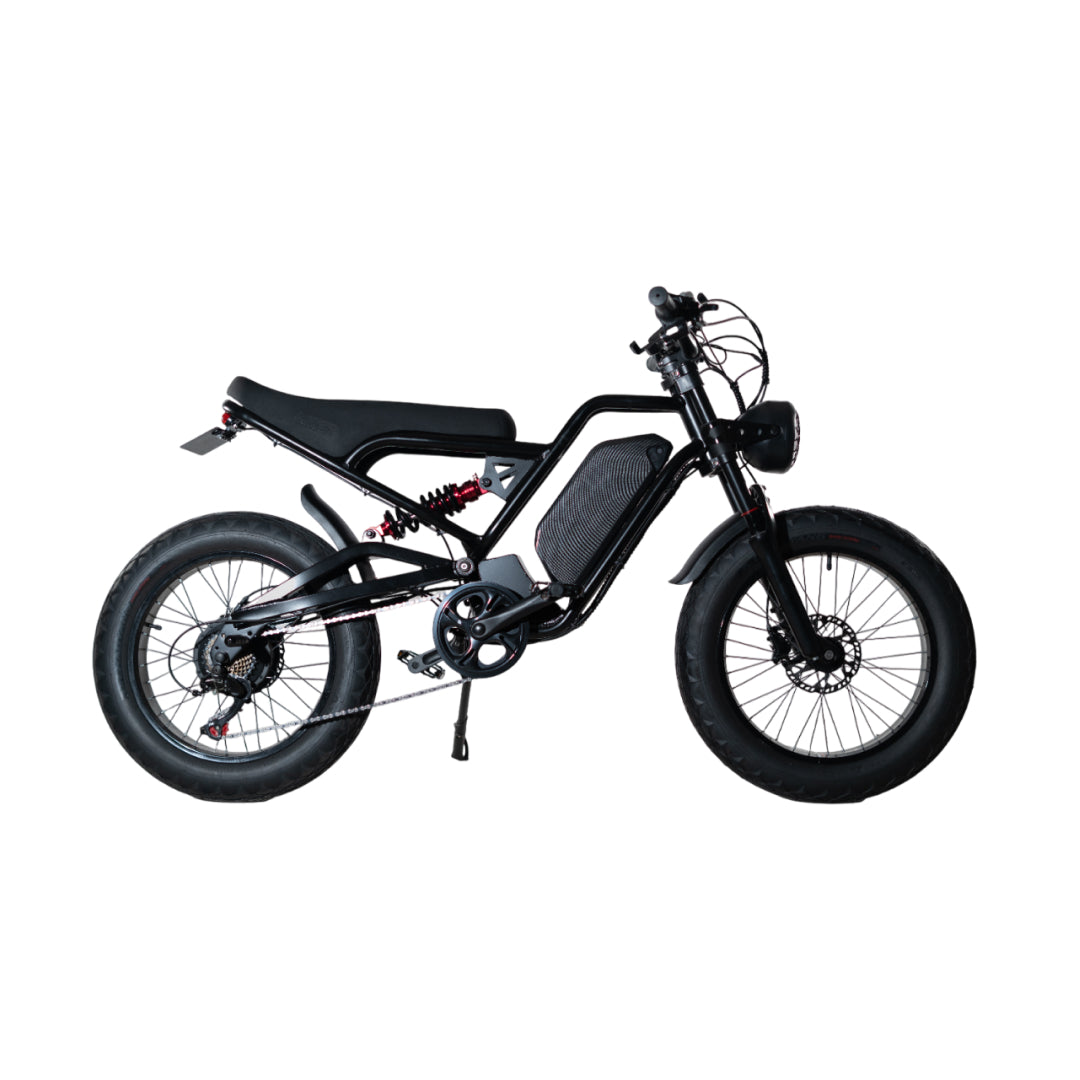 Electric bicycle | AKEZ